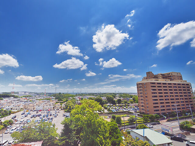 サングリーン海道割